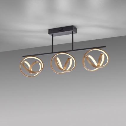 JUST LIGHT. 6245-18 - Dimbare LED bevestigde hanglamp LOOP 3xLED/11W/230V 2700-5000K + afstandsbediening