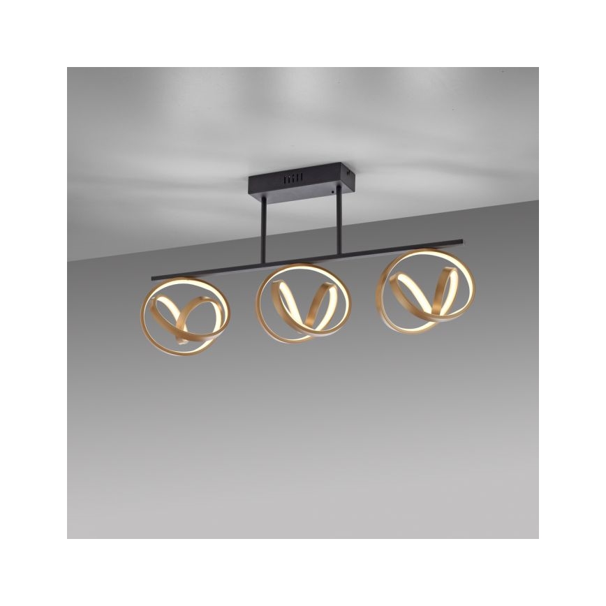 JUST LIGHT. 6245-18 - Dimbare LED bevestigde hanglamp LOOP 3xLED/11W/230V 2700-5000K + afstandsbediening