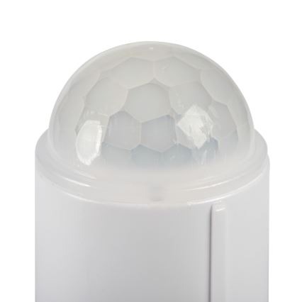 LED plafondlamp met bewegings- en schemersensor FOGLER LED/12W/230V Ø 28 cm