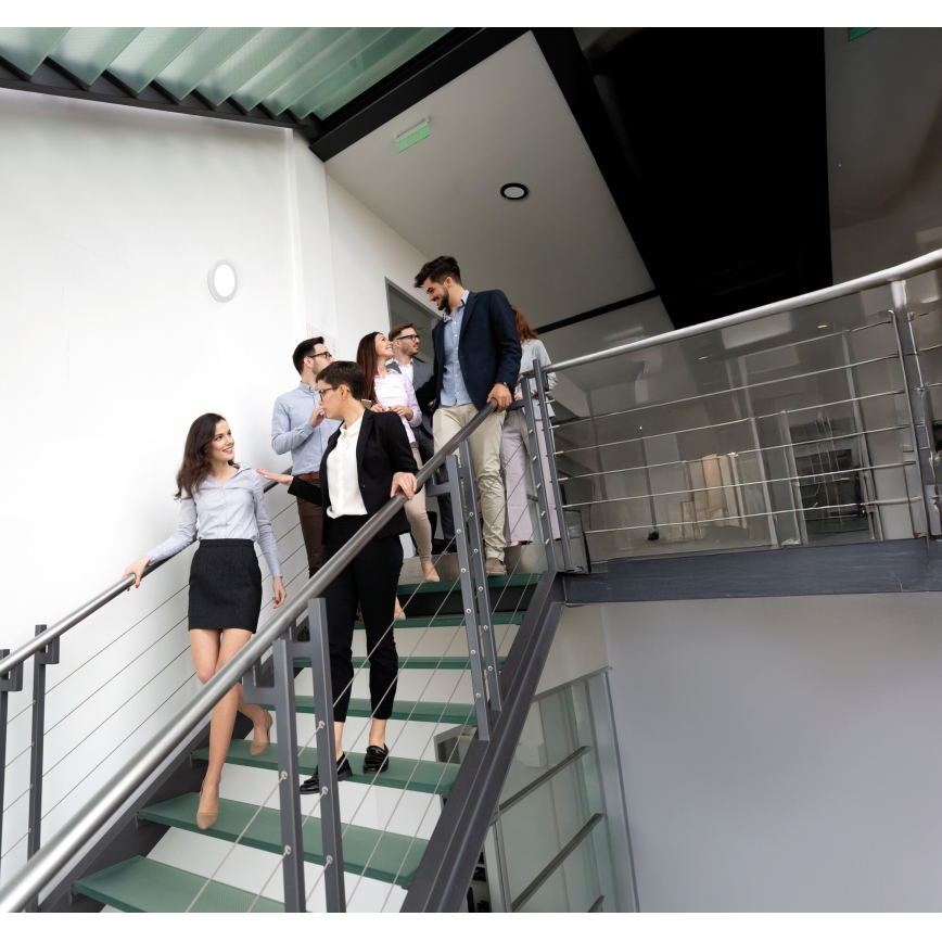 LED Plafond/Hangende plafondverlichting met bewegingssensor 2in1 ERGA LED/17W/230V 3000/4000/6500K wit