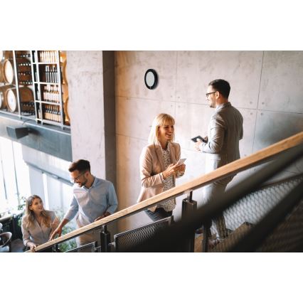 LED plafond/inbouwarmatuur 2-in-1 ERGA LED/17W/230V 3000/4000/6500K zwart