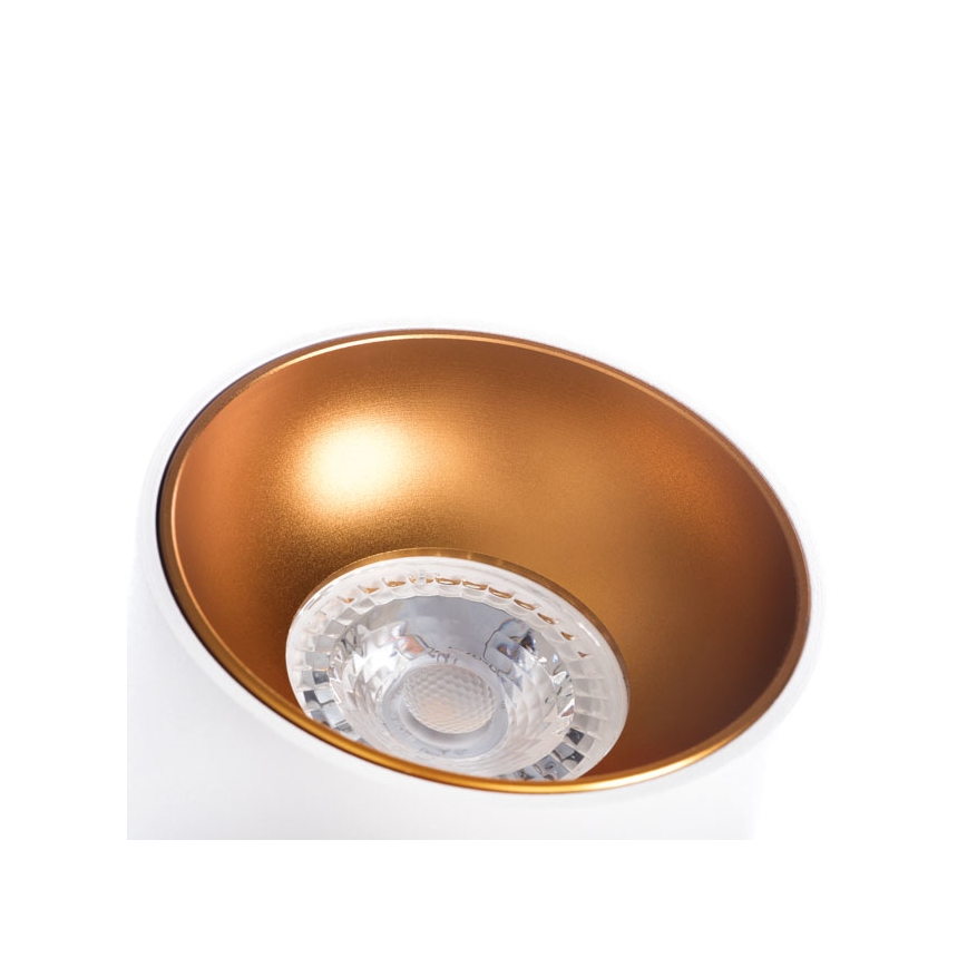 Spot RITI 1xGU10/10W/230V wit/goud