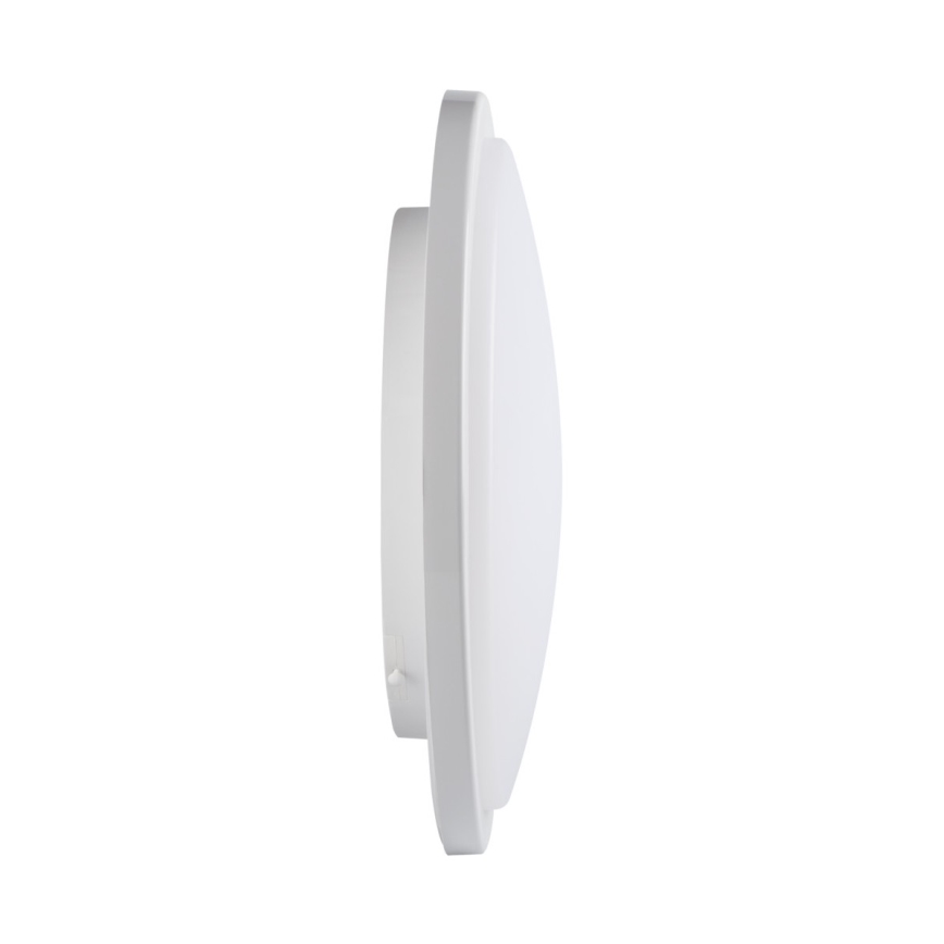 Badkamer LED Plafond Lamp ORTE LED/24W/230V IP54