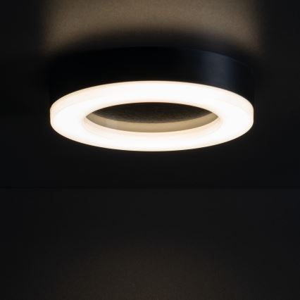 LED Plafondlamp voor buiten TURA LED/24W/230V 4000K IP54 zwart