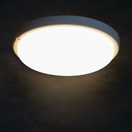 LED Badkamer plafondlamp TOLU LED/18W/230V 4000K IP54 wit