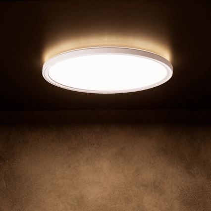 LED plafondlamp AZPO LED/22W/230V 3000/4000/6000K Ø 42 cm IP54 wit