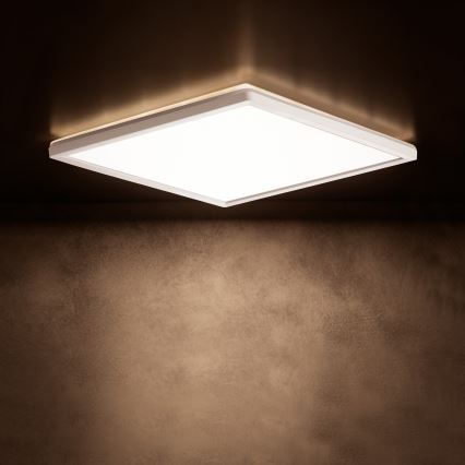 LED plafondlamp AZPO LED/22W/230V 3000/4000/6000K 42x42 cm IP54 wit