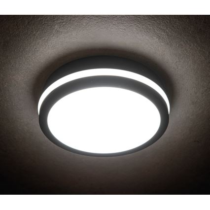 LED Plafond Lamp voor Buiten BENO LED/24W/230V 4000K antraciet IP54