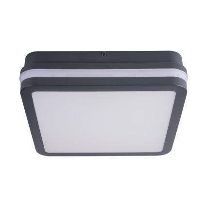 LED Plafond Lamp voor Buiten met Sensor BENO LED/24W/230V 4000K antraciet IP54