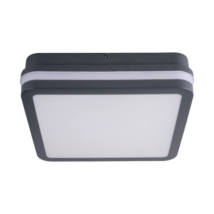 LED Plafond Lamp voor Buiten met Sensor BENO LED/24W/230V 4000K antraciet IP54