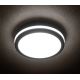 LED Plafond Lamp voor Buiten BENO LED/18W/230V 4000K antraciet IP54