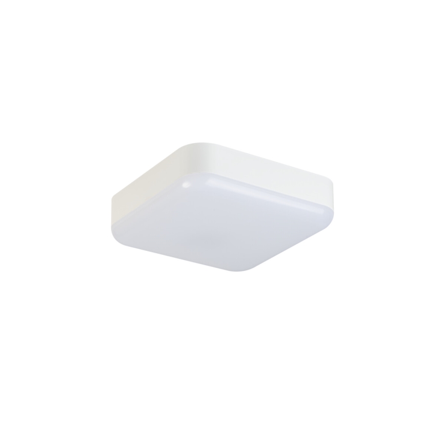 LED Werkverlichting plafond IPER LED/19W/230V IK10 IP65 hoekig wit
