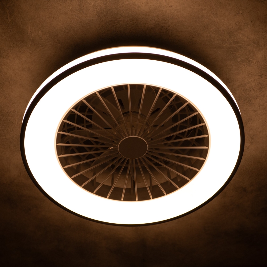 LED Dimbaar plafondlamp met ventilator PLAVE LED/48W/230V 3000/4000/6500K + afstandsbediening