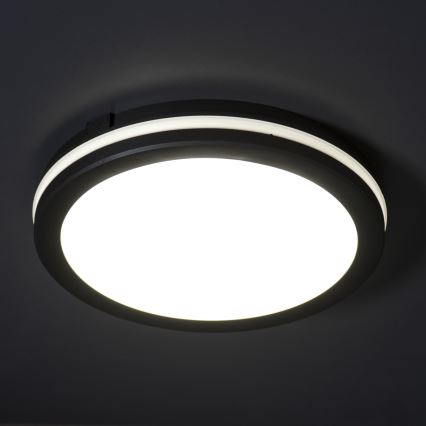 LED Plafondlamp voor buiten BENO ECO LED/12W/230V 3000/4000/6500K diameter 20 cm IP65 zwart