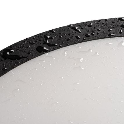 LED Plafondlamp voor buiten BENO ECO LED/12W/230V 3000/4000/6500K diameter 20 cm IP65 zwart