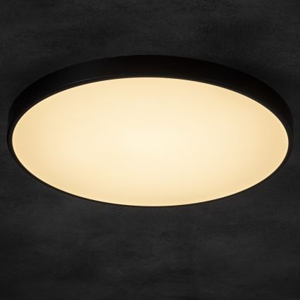 Dimbare LED plafondlamp PLAFON LED/20W/230V 3000-6500K Wi-Fi zwart