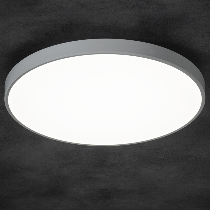 Dimbare LED plafondlamp PLAFON LED/20W/230V 3000-6500K Wi-Fi wit
