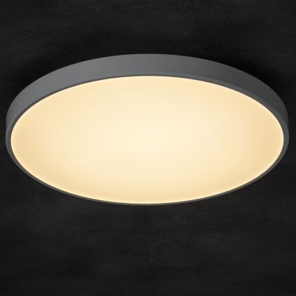 Dimbare LED plafondlamp PLAFON LED/20W/230V 3000-6500K Wi-Fi wit