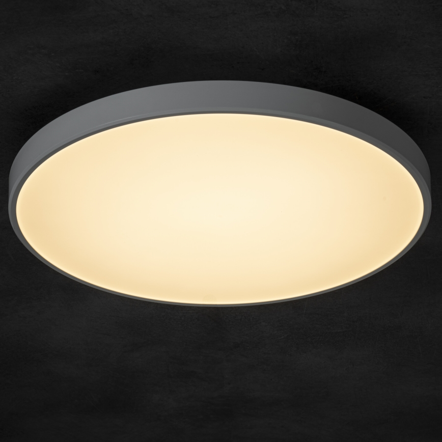 Dimbare LED plafondlamp PLAFON LED/20W/230V 3000-6500K Wi-Fi wit