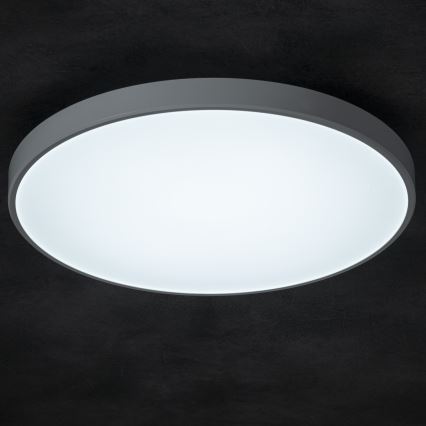 Dimbare LED plafondlamp PLAFON LED/20W/230V 3000-6500K Wi-Fi wit