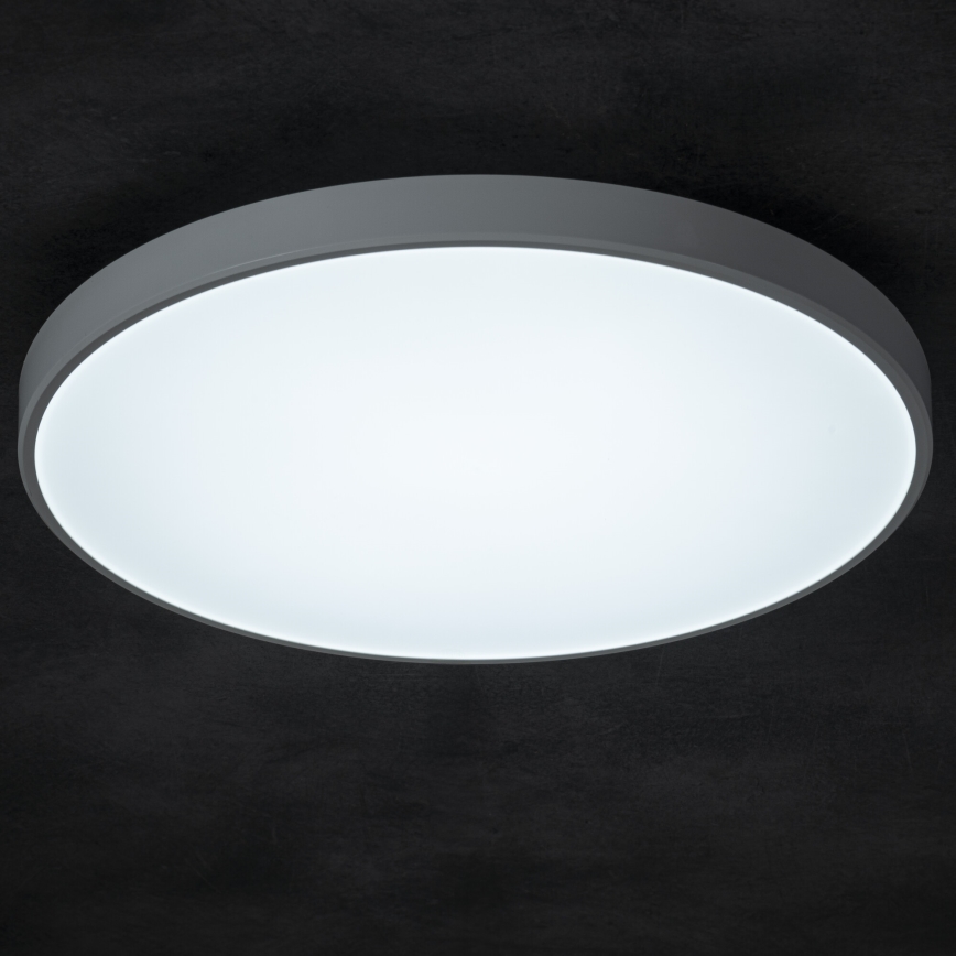 Dimbare LED plafondlamp PLAFON LED/20W/230V 3000-6500K Wi-Fi wit
