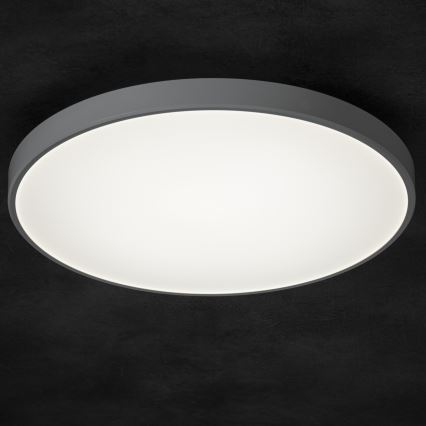 Dimbare LED plafondlamp PLAFON LED/20W/230V 3000-6500K Wi-Fi wit