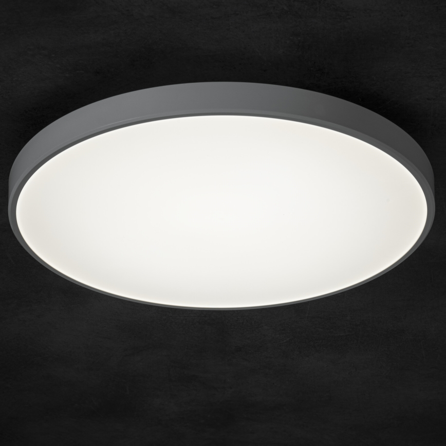 Dimbare LED plafondlamp PLAFON LED/20W/230V 3000-6500K Wi-Fi wit