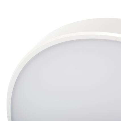 Dimbare LED plafondlamp PLAFON LED/20W/230V 3000-6500K Wi-Fi wit