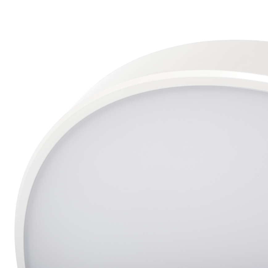 Dimbare LED plafondlamp PLAFON LED/20W/230V 3000-6500K Wi-Fi wit