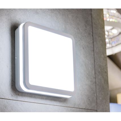 LED Plafondlamp voor buiten met bewegingssensor BENO LED/12/18W/230V 3000/3500/4000K IP65 wit hoekig