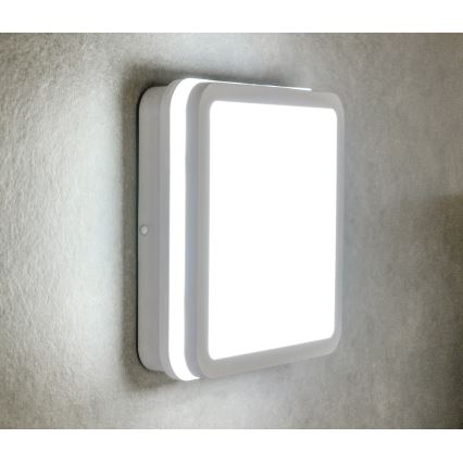 LED Plafondlamp voor buiten met bewegingssensor BENO LED/12/18W/230V 3000/3500/4000K IP65 wit hoekig