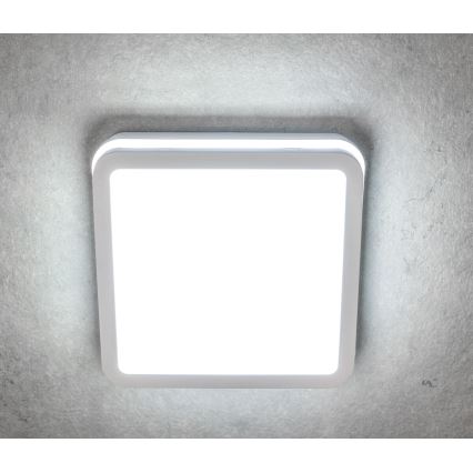 LED Plafondlamp voor buiten met bewegingssensor BENO LED/12/18W/230V 3000/3500/4000K IP65 wit hoekig