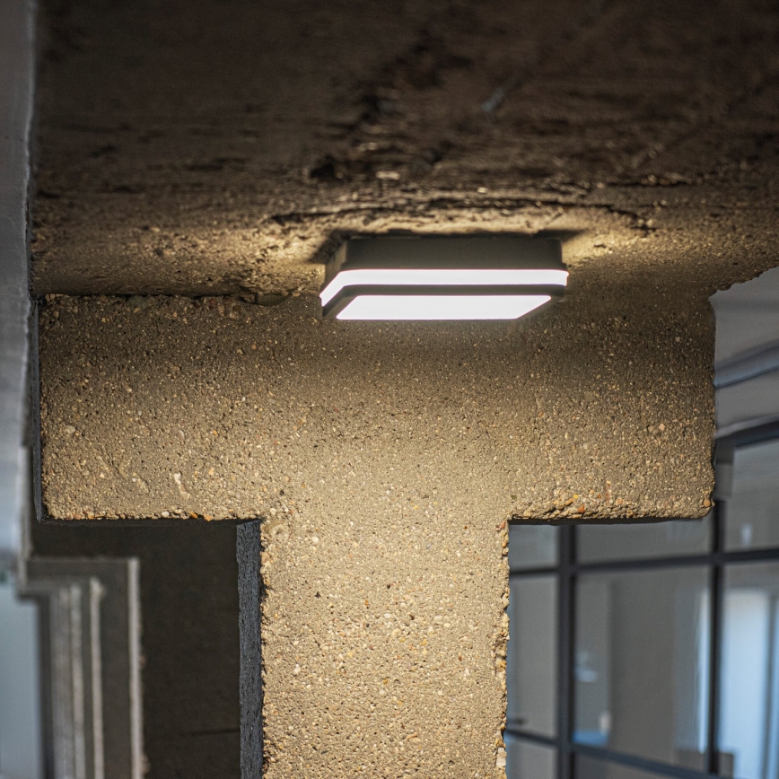 LED Plafondlamp voor buiten BENO LED/24/30W/230V 3000/3500/4000K IP65 antraciet hoekig