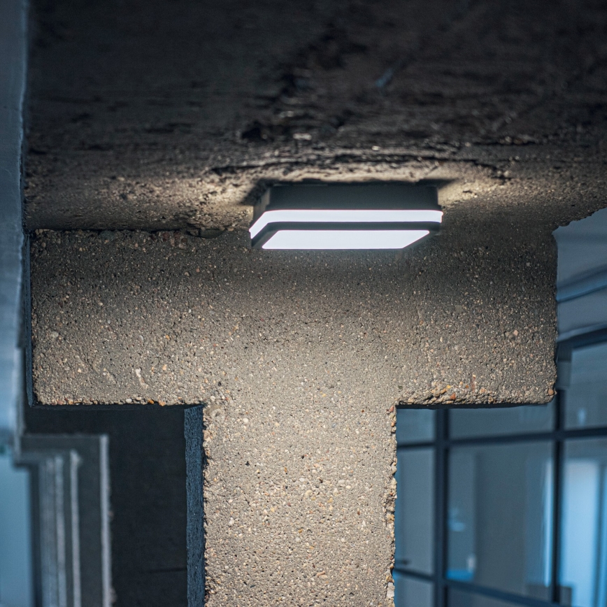 LED Plafondlamp voor buiten BENO LED/24/30W/230V 3000/3500/4000K IP65 antraciet hoekig