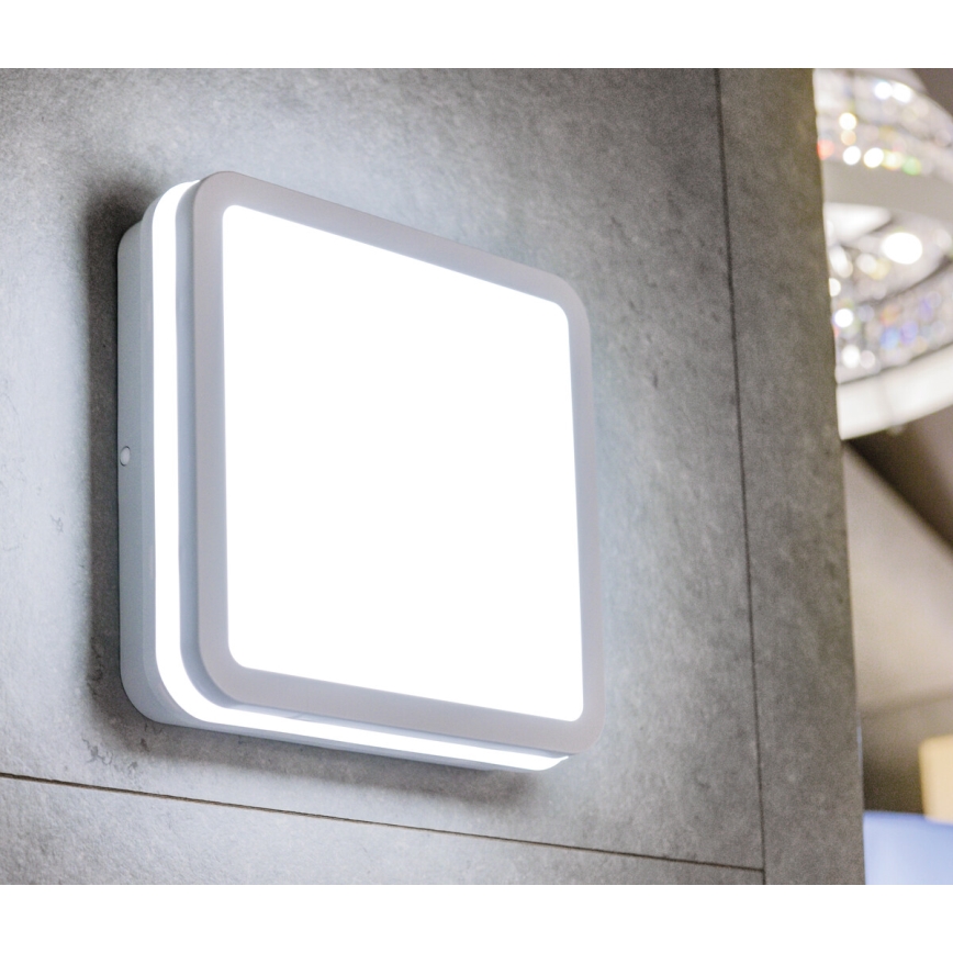 LED Plafondlamp voor buiten BENO LED/24/30W/230V 3000/3500/4000K IP65 wit hoekig
