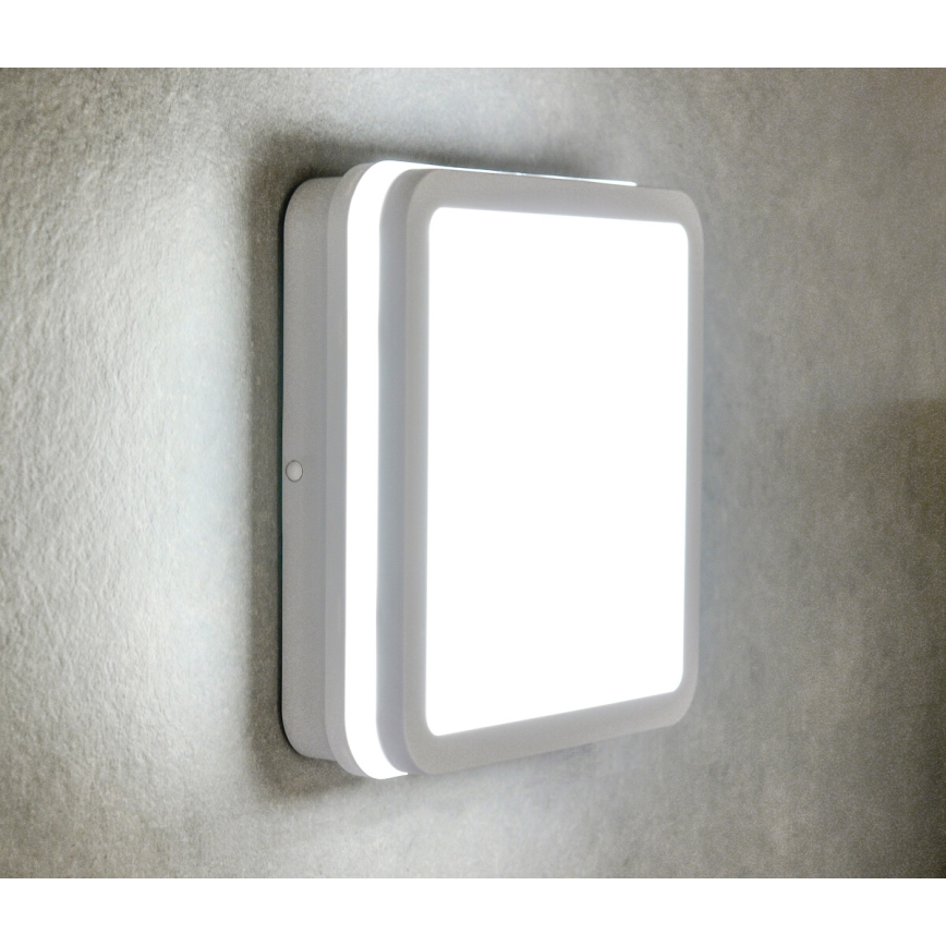 LED Plafondlamp voor buiten BENO LED/24/30W/230V 3000/3500/4000K IP65 wit hoekig