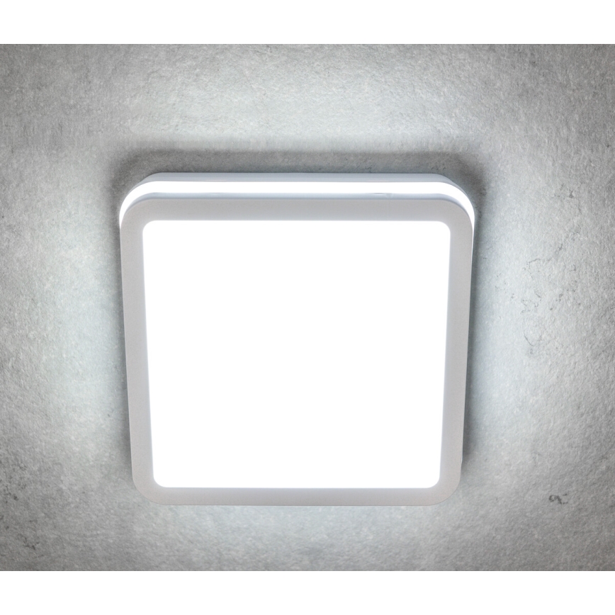 LED Plafondlamp voor buiten BENO LED/24/30W/230V 3000/3500/4000K IP65 wit hoekig