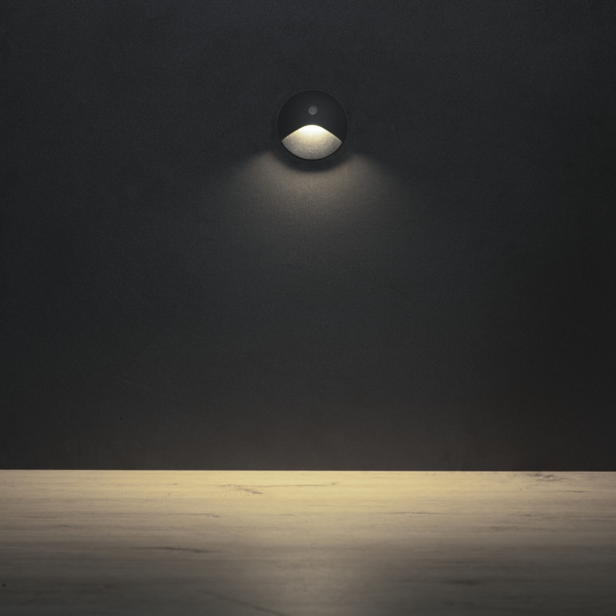 LED trapverlichting met bewegings- en schemersensor EXIN LED/2,5W/230V 4000K IP65 antraciet rond