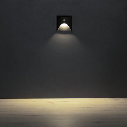 LED-traparmatuur met bewegings- en schemersensor EXIN LED/2,5W/230V 4000K IP65 zwart, vierkant