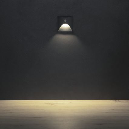 LED-trapverlichting met bewegings- en schemersensor EXIN LED/2,5W/230V 4000K IP65 antraciet, vierkant