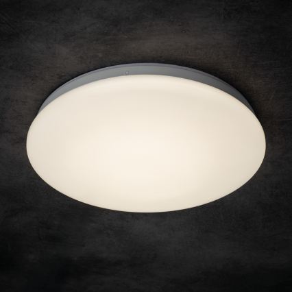 LED plafondlamp voor de badkamer ENELO LED/17W/230V Ø 32 cm IP44