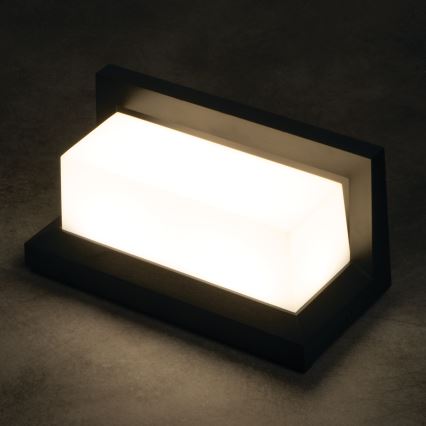 LED buitenwandlamp LERTO LED/12W/230V IP54 zwart