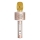 Karaoke-microfoon 6W/5V 1500 mAh Bluetooth goud