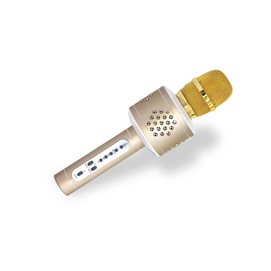Karaoke-microfoon 6W/5V 1500 mAh Bluetooth goud