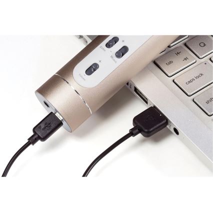 Karaoke-microfoon 6W/5V 1500 mAh Bluetooth goud