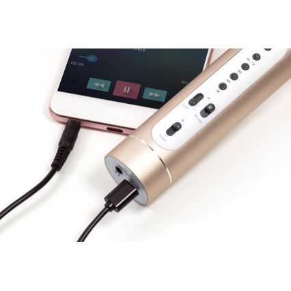 Karaoke-microfoon 6W/5V 1500 mAh Bluetooth goud