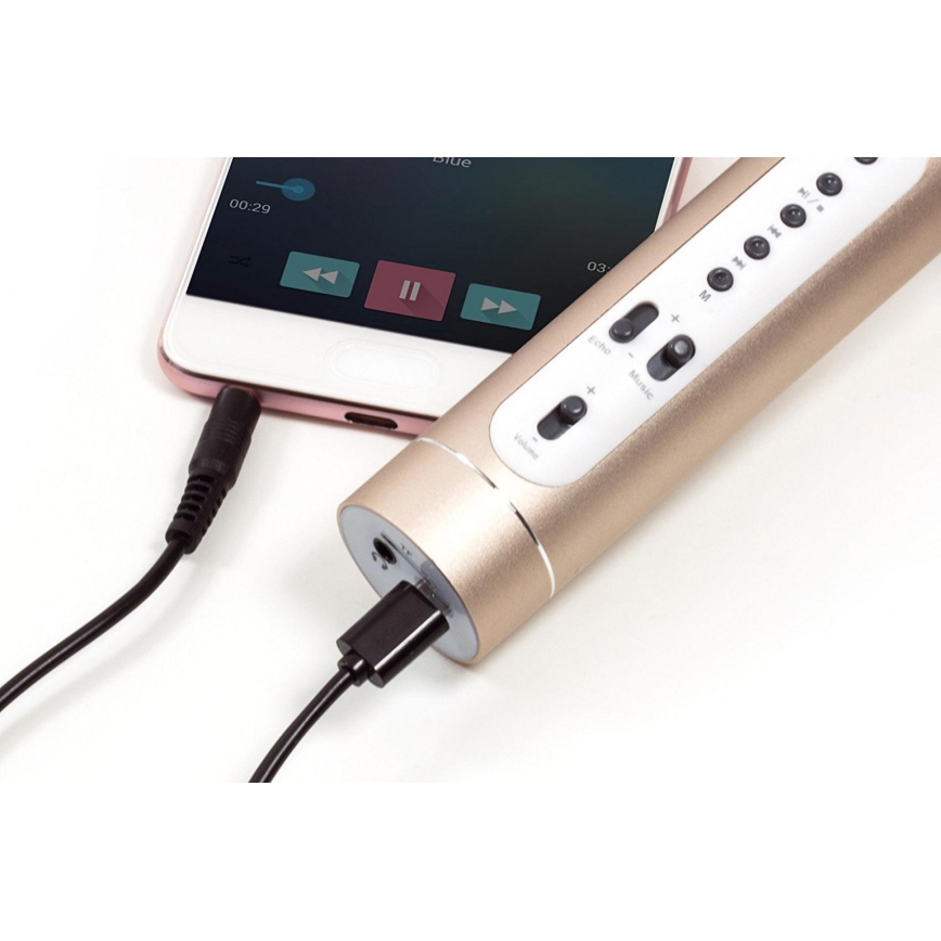Karaoke-microfoon 6W/5V 1500 mAh Bluetooth goud