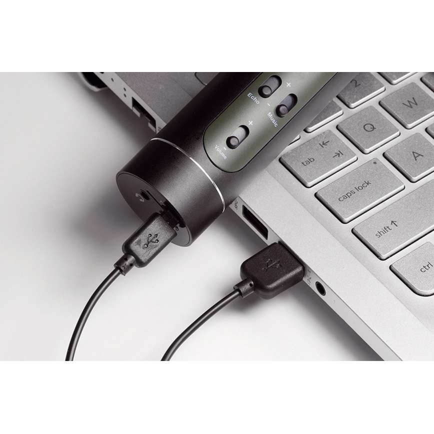 Karaokemicrofoon 6W/5V 1500 mAh Bluetooth zwart