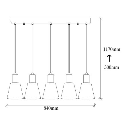 KEM hanglamp 5xE27/40W/230V goud