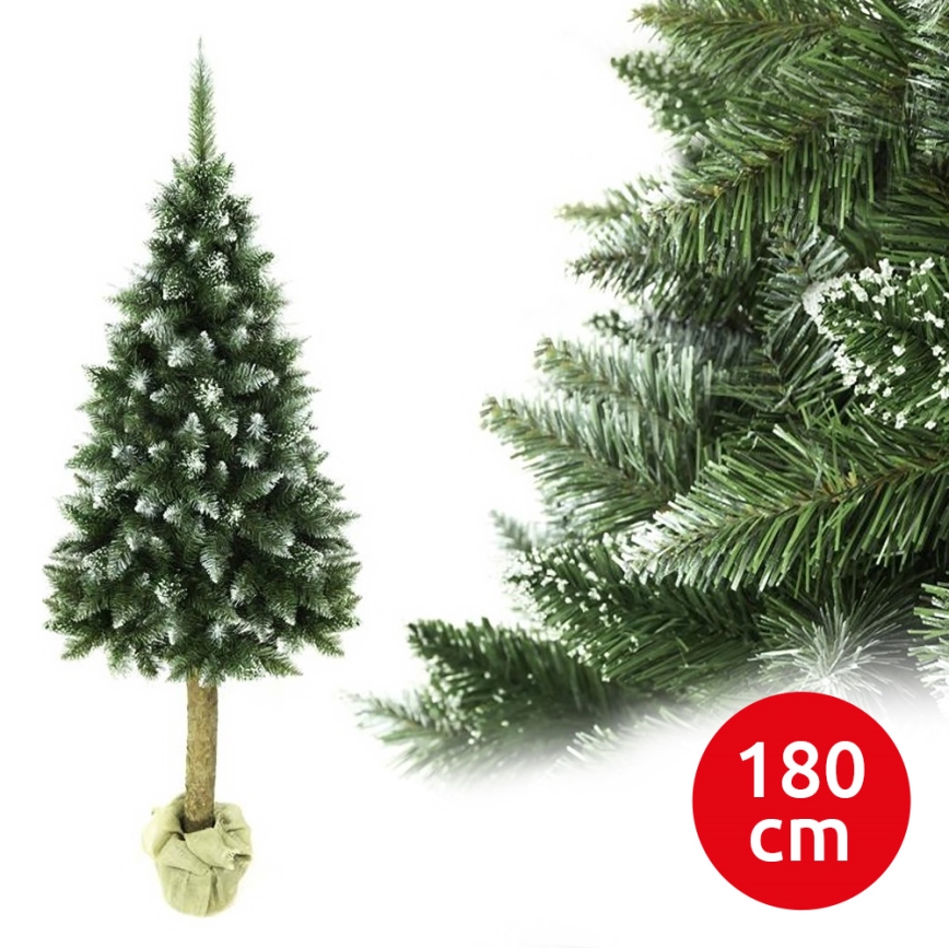 Kerstboom op een stam 180 cm spar
